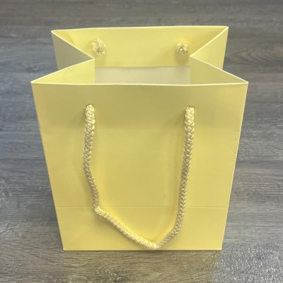 Cream Rope Handle Bags